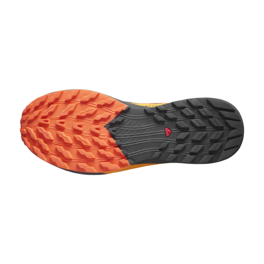 Salomon SENSE RIDE 5 GTX L47147300 / schwarz