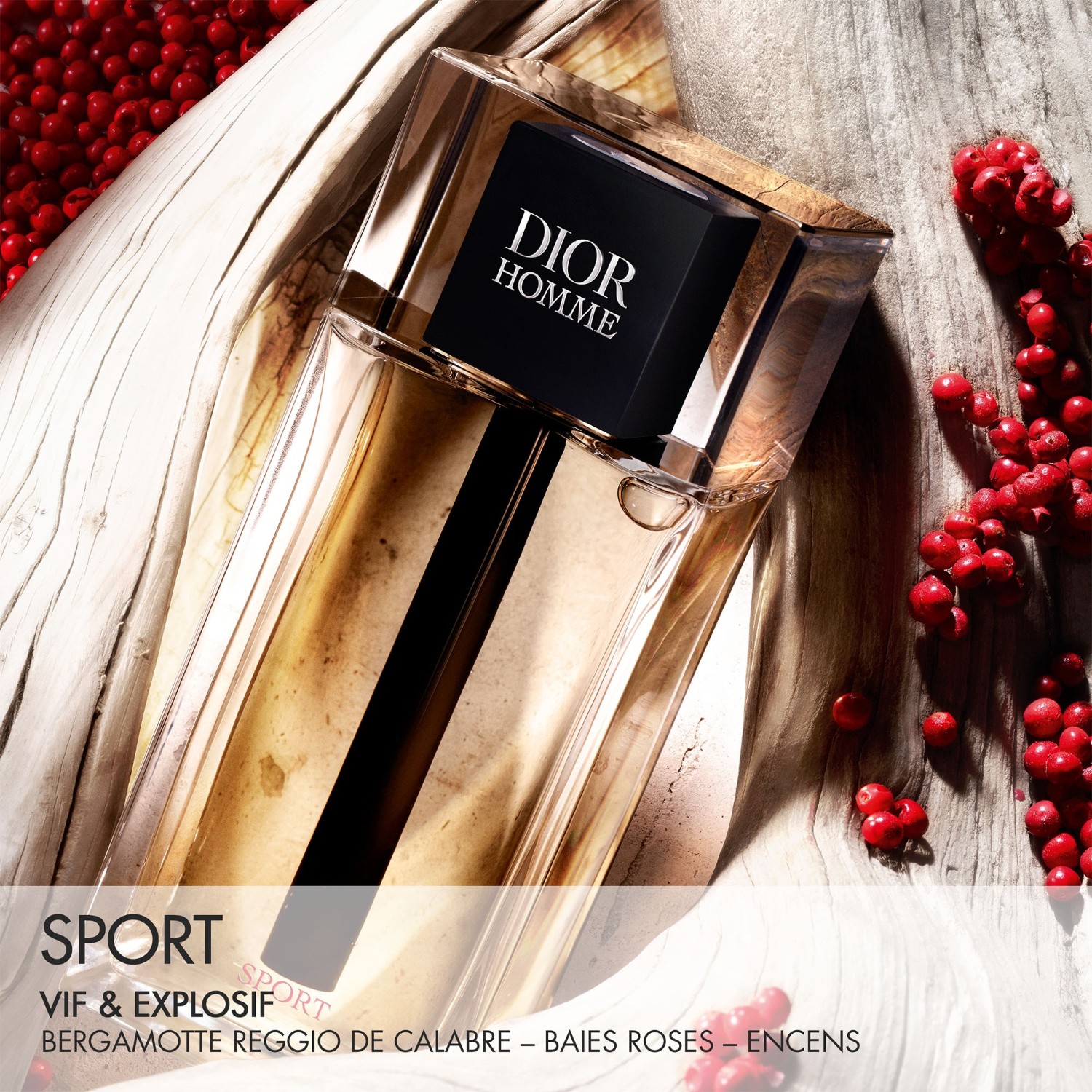 DIOR Sport - Sveže, lesne in začinjene note