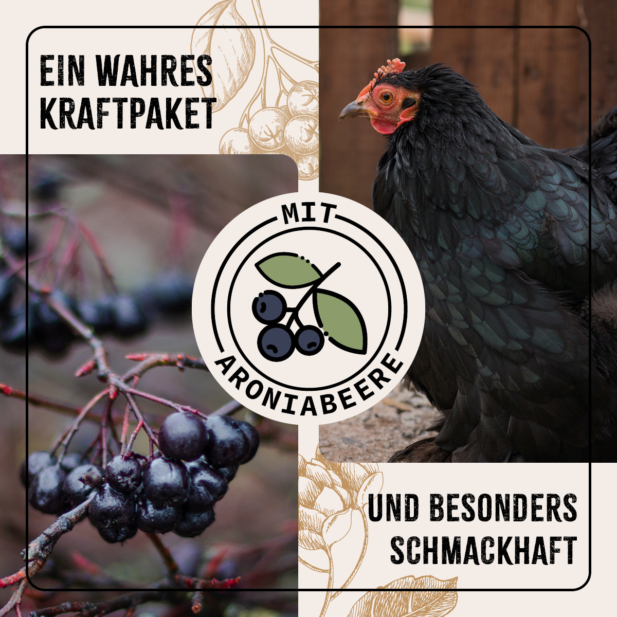 Aniforte Futter & Heu Aniforte FarmLife Geflügel Bierhefe Spezial Mix 1kg