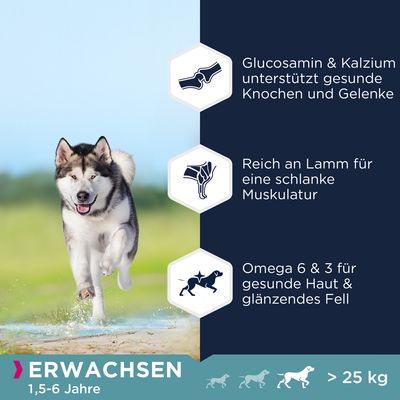 Eukanuba Grain Free Adult Large Dogs Lamm