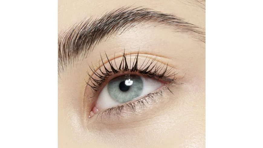 Catrice Lash Brow Designer Shaping And Conditioning Mascara Gel 6 ml