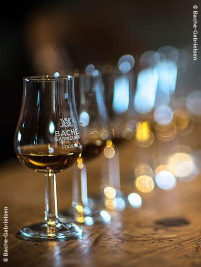 Bache-Gabrielsen : Aged 19 Years Millésime 2002