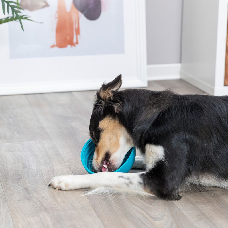 Trixie Lick'n'Snack Bowl zu TOP-Preisen