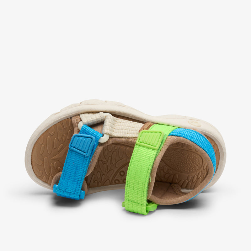 nico bright blue/green - Grün