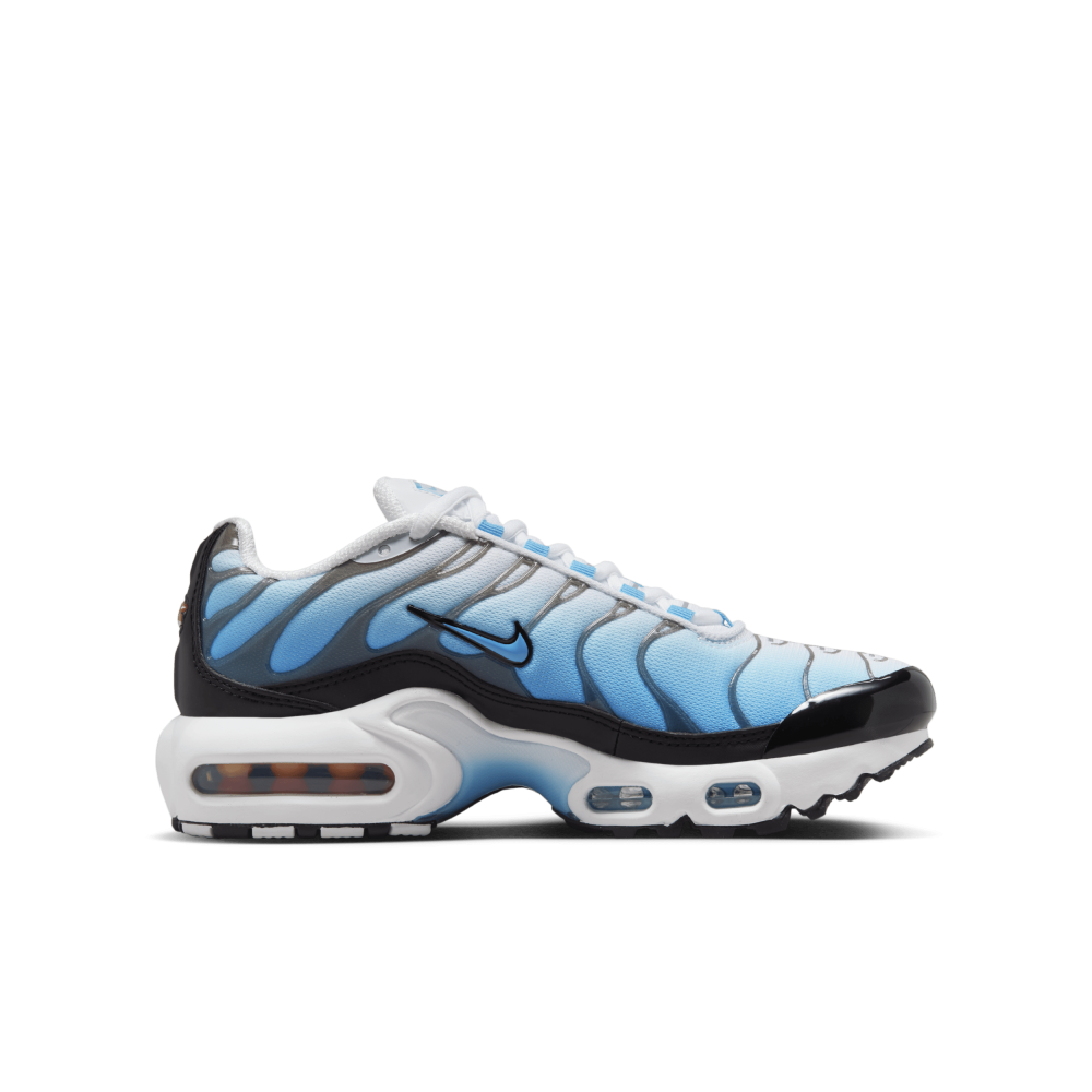 Nike Air Max Plus FD9767-100 / weiss