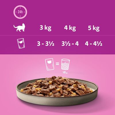 Multipack Whiskas Pure Delight Portionsbeutel 48 x 85 g