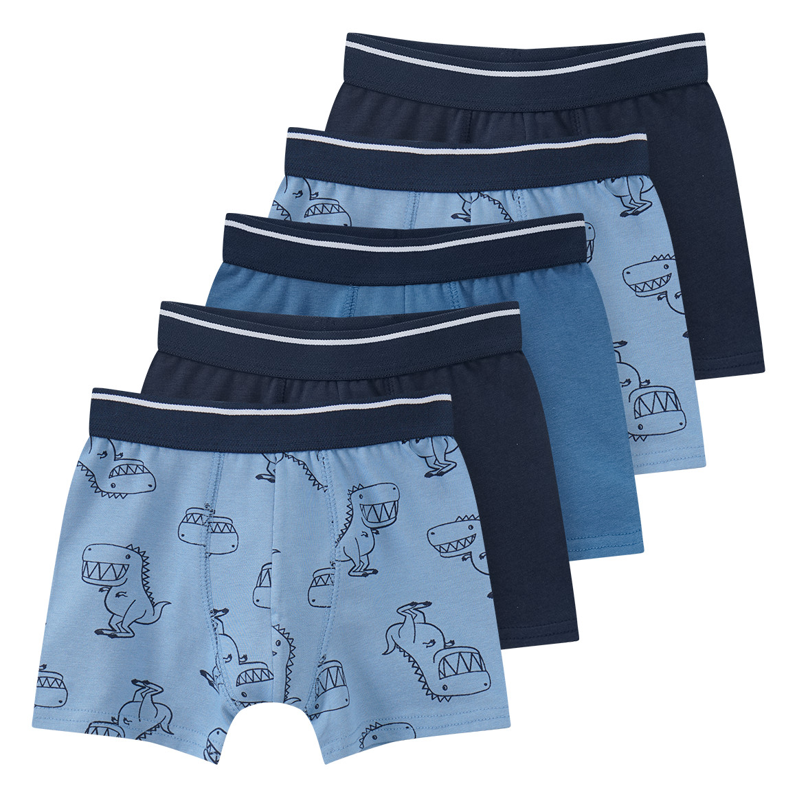 5 Jungen Boxer in verschiedenen Dessins