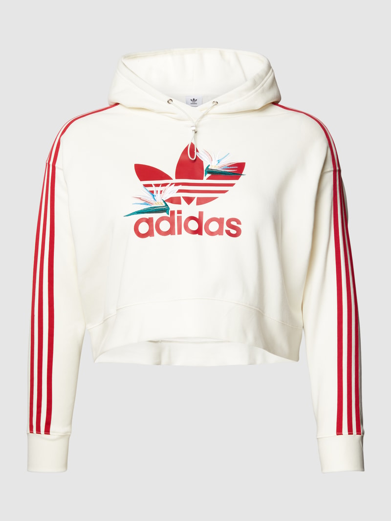 PLUS SIZE Hoodie mit Kapuze in offwhite