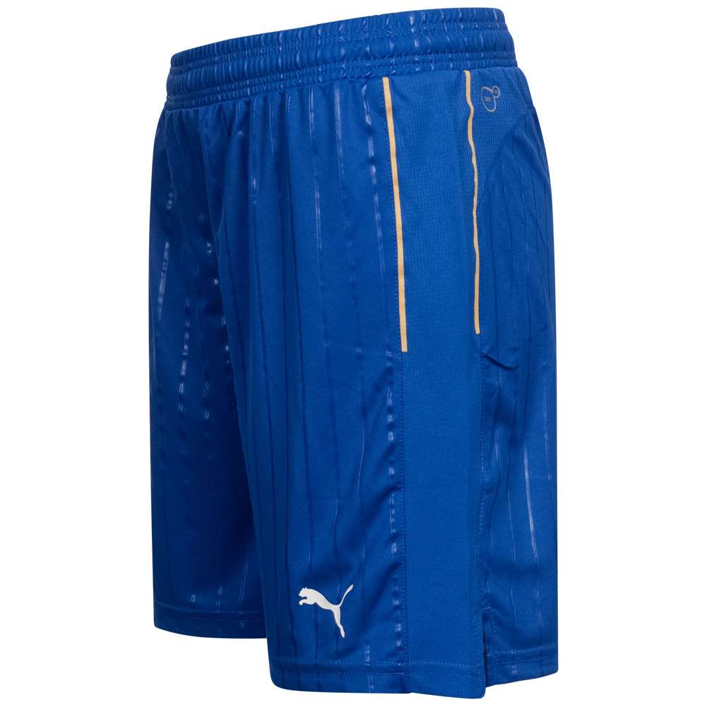 Italien FIGC PUMA Promo Damen Shorts 748818-01