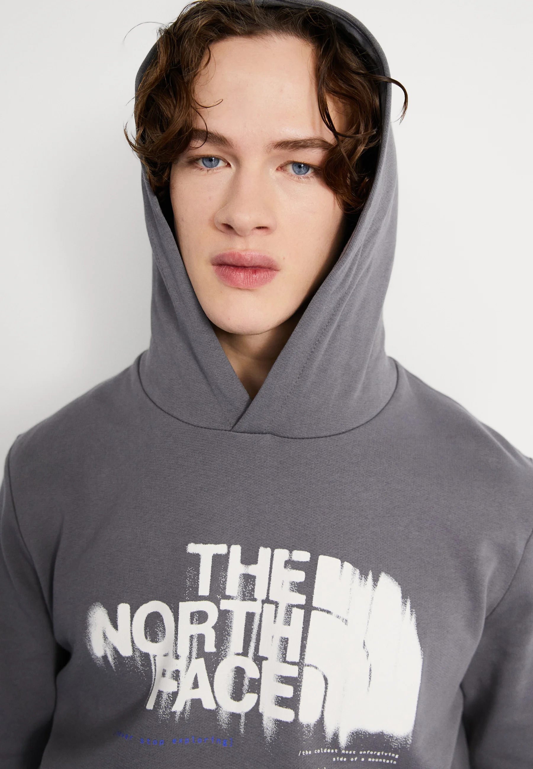 The North Face GRAPHIC - Sudadera