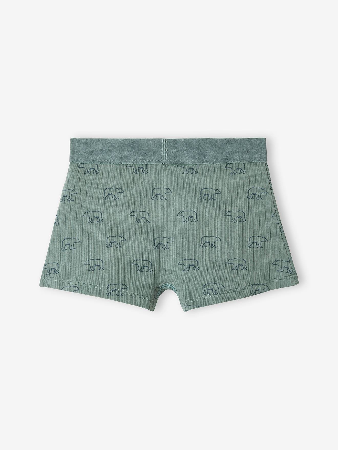 Lot de 3 boxers ours en maille côtelée garçon vert émeraude