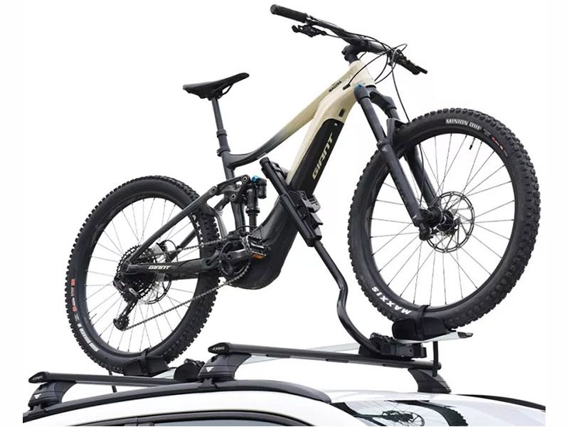 Pesio Schienenfahrradträger