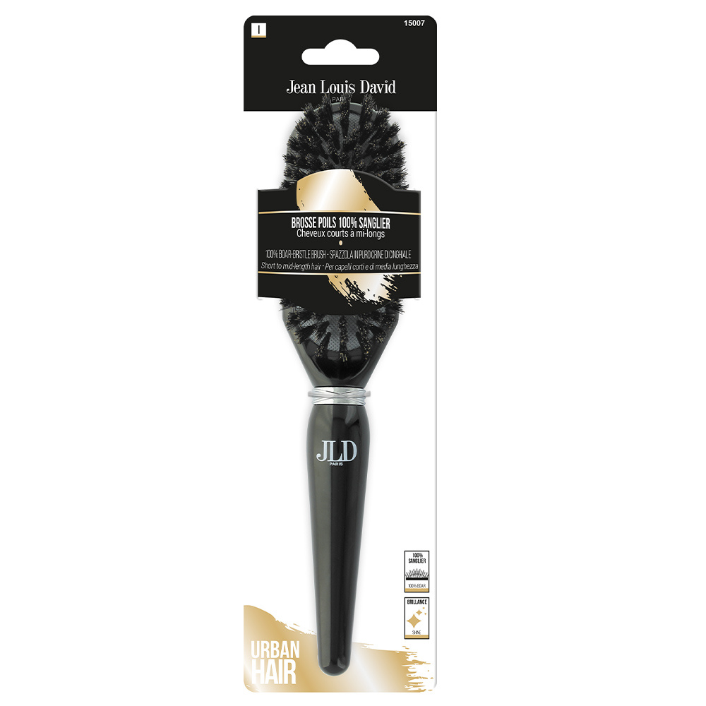 Jean Louis David BROSSE POILS SANGLIER BROSSE CHEVEUX