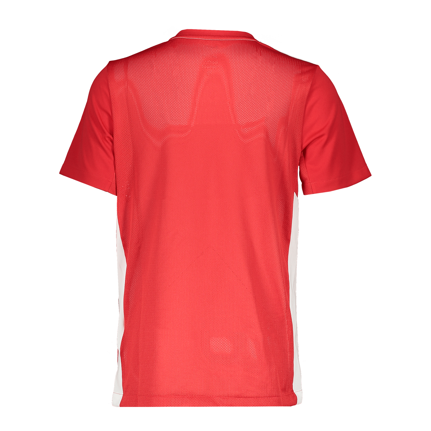 Nike Park Derby IV Trikot Kids Rot F657