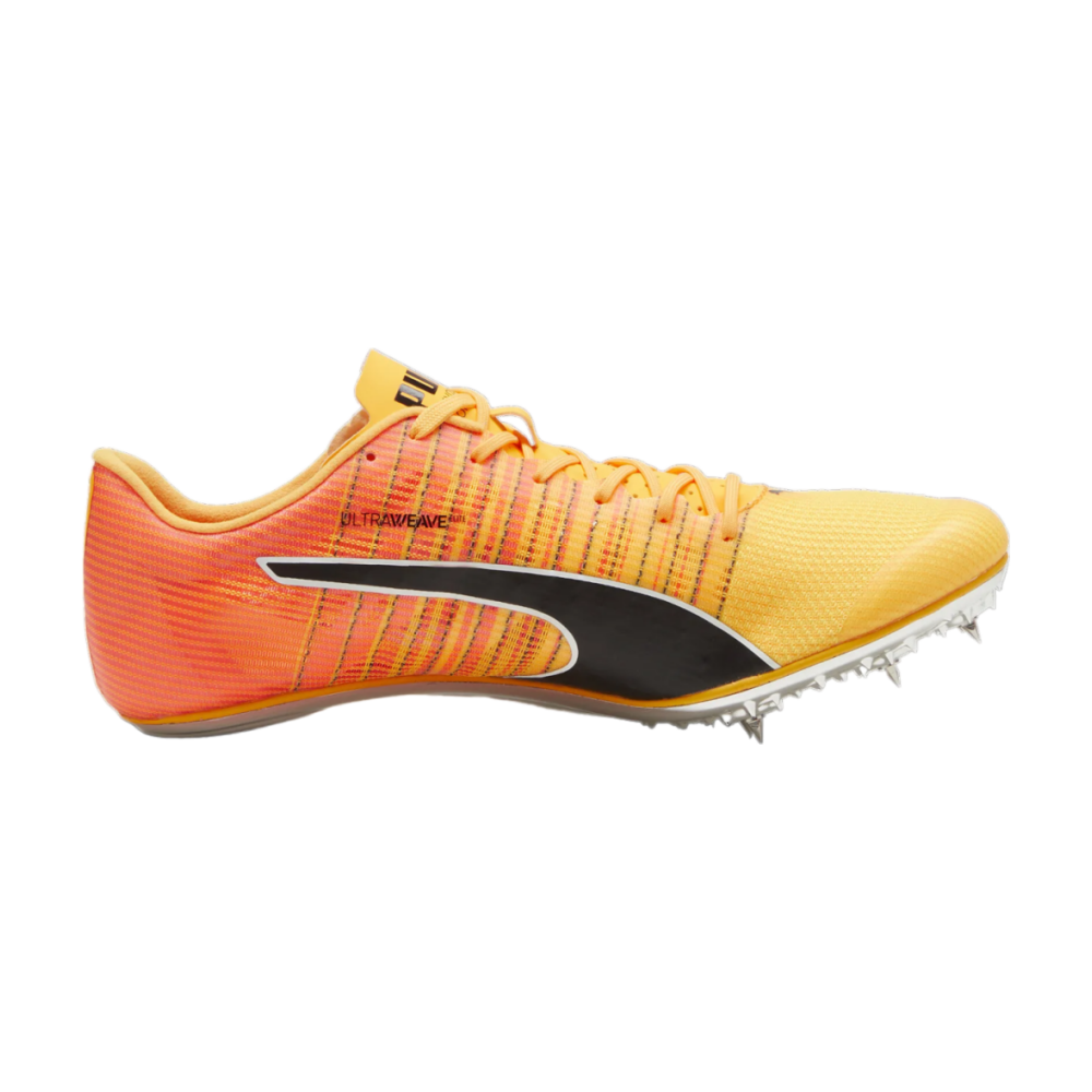 PUMA evoSPEED BRUSH 6 380022-001 / orange