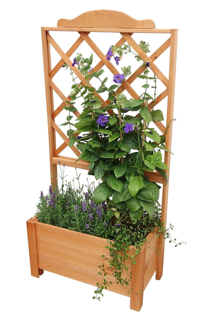 PROMEX Promadino Rankkasten Botanica 69x140 cm