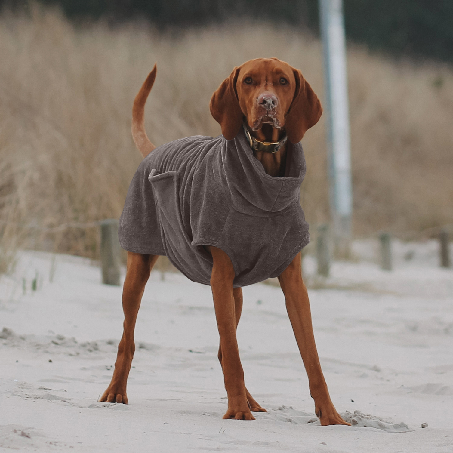 THE DOG IDEA Hundemäntel THE DOG IDEA Bademantel Every Taupe XL