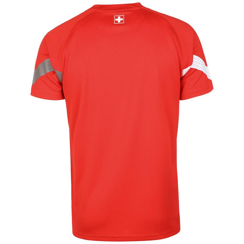 PUMA SFV Schweiz T-Shirt Herren