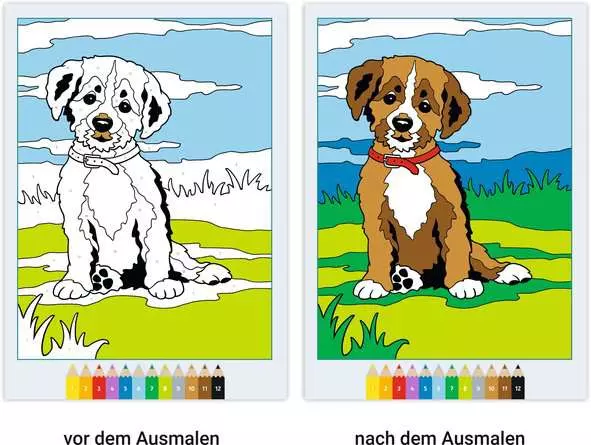 CreArt Malen nach Zahlen ab 5: Tierkinder