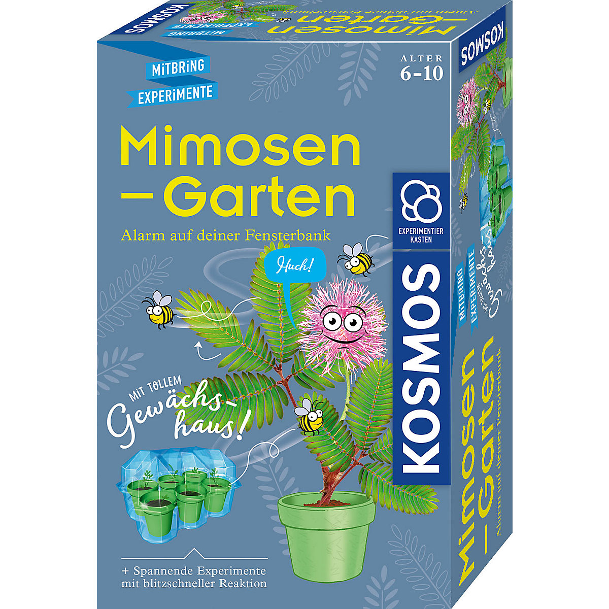 Mitbringexperiment Mimosen-Garten - Alarm auf deiner Fensterbank