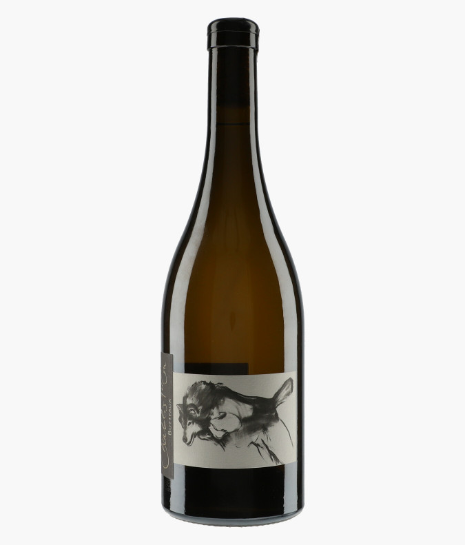Chablis 1er Cru Les Butteaux Mise Tardive 2018PATTES-LOUP - THOMAS PICO