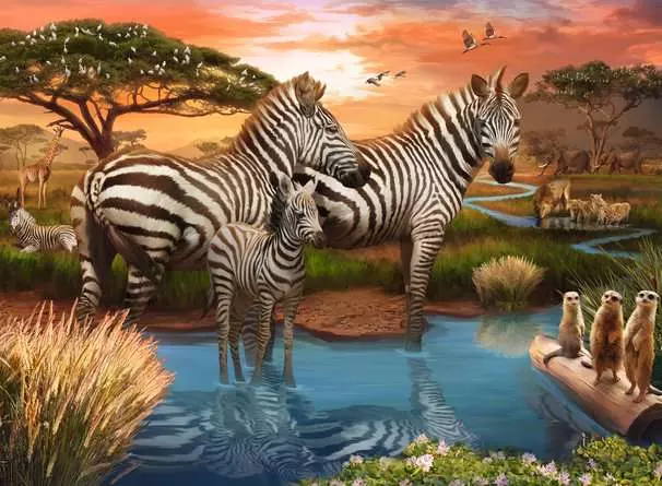 Puzzle 500 Teile - Zebras am Wasserloch