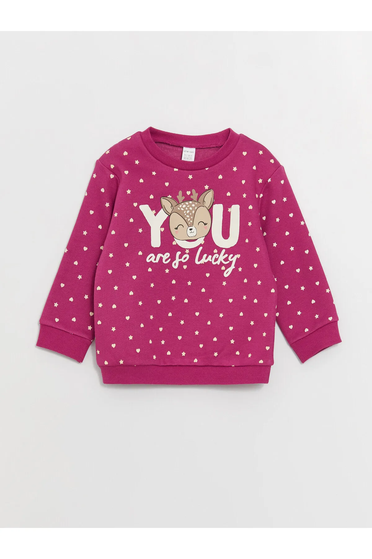 LC Waikiki  Langarm-Sweatshirt mit Rundhalsausschnitt und bedrucktem Baby-Mädchen-Sweatshirt im 2er-Pack
