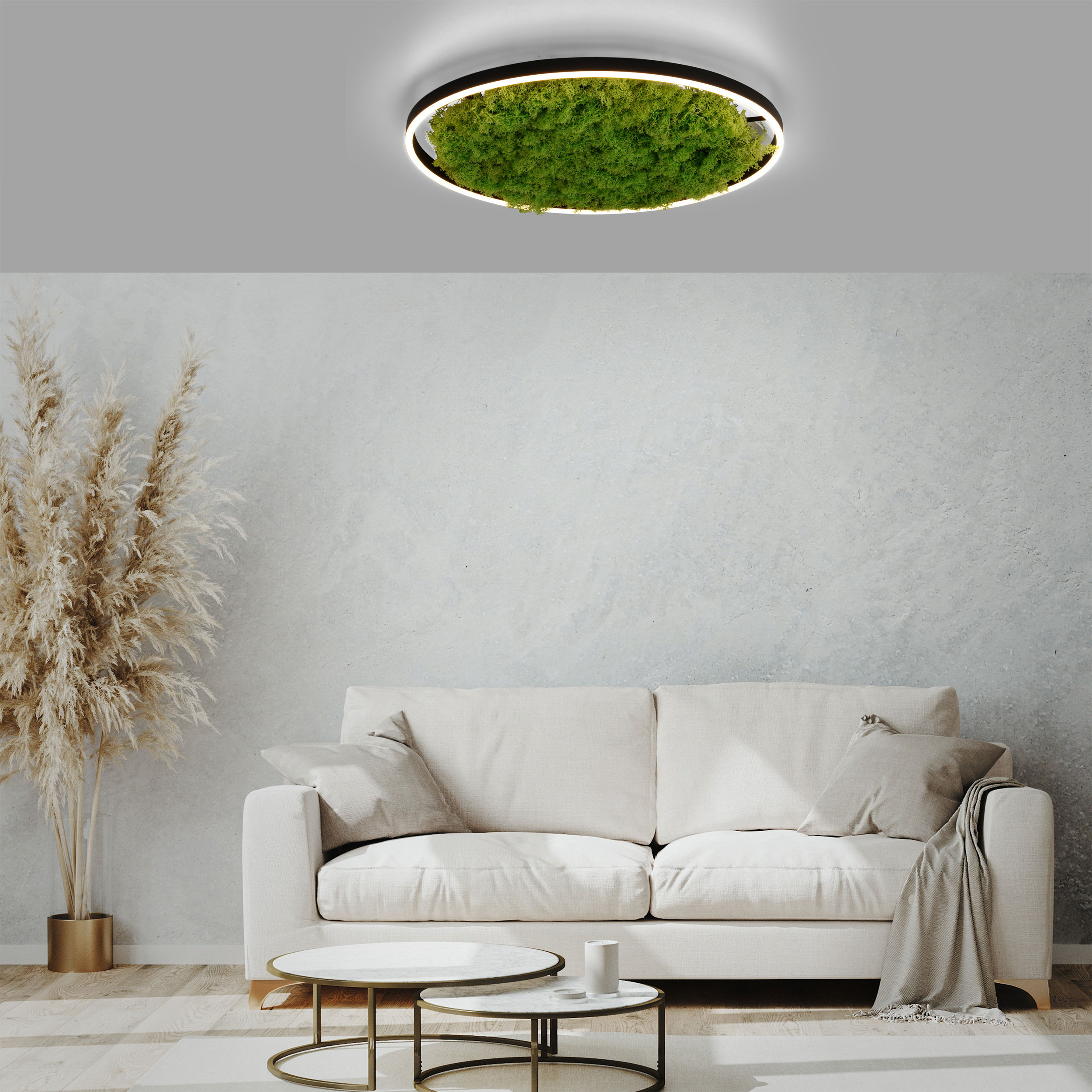 JUST LIGHT.LED-Deckenleuchte 1flg
