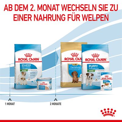 Royal Canin Mini Starter Mother & Babydog