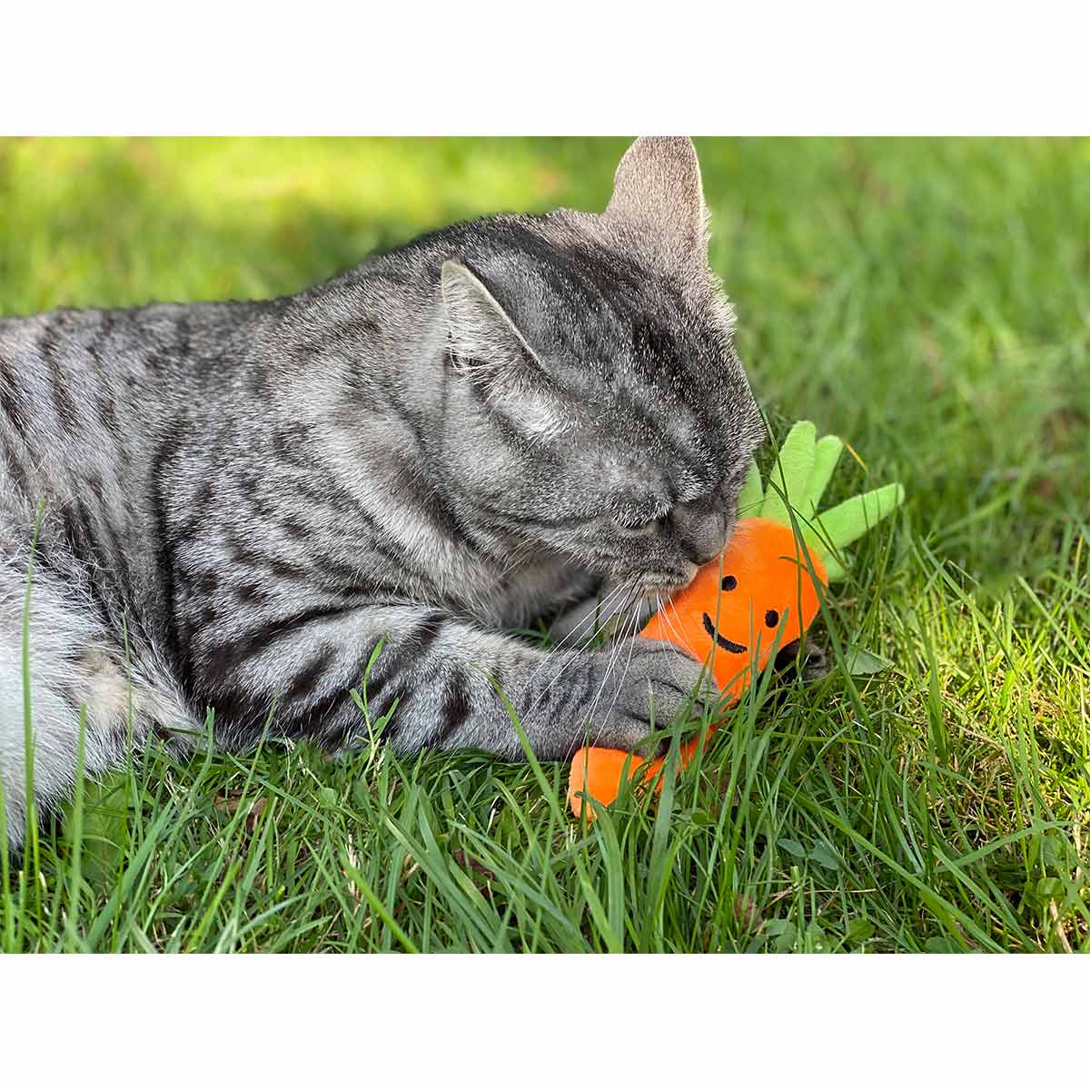 Aumüller Katzenspielkissen Karotte mit Baldrian