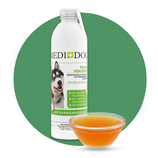 MediDog Ergänzungsfutter & Aufzucht MediDog Probio Vitaldrunk