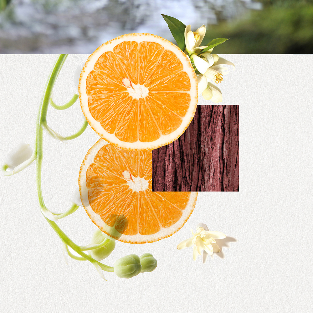 Annayake OMIZU HER Parfum