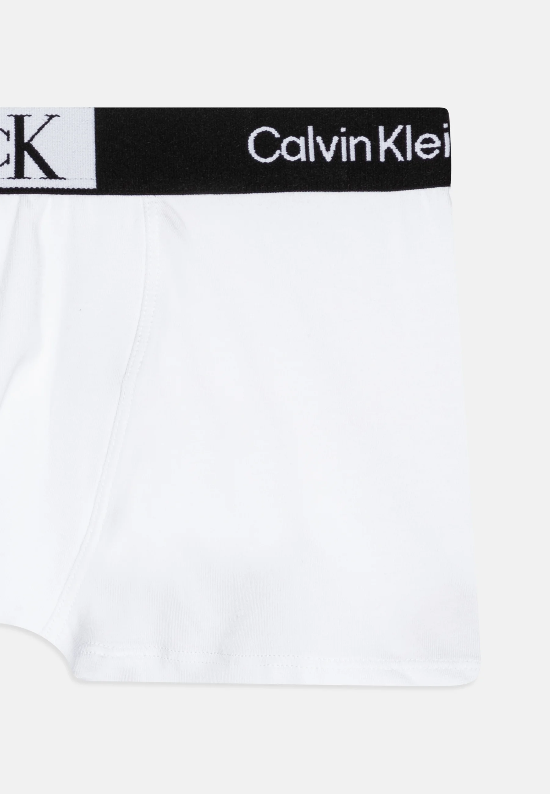 Calvin Klein Underwear TRUNK PACK DE 2 - Culotte