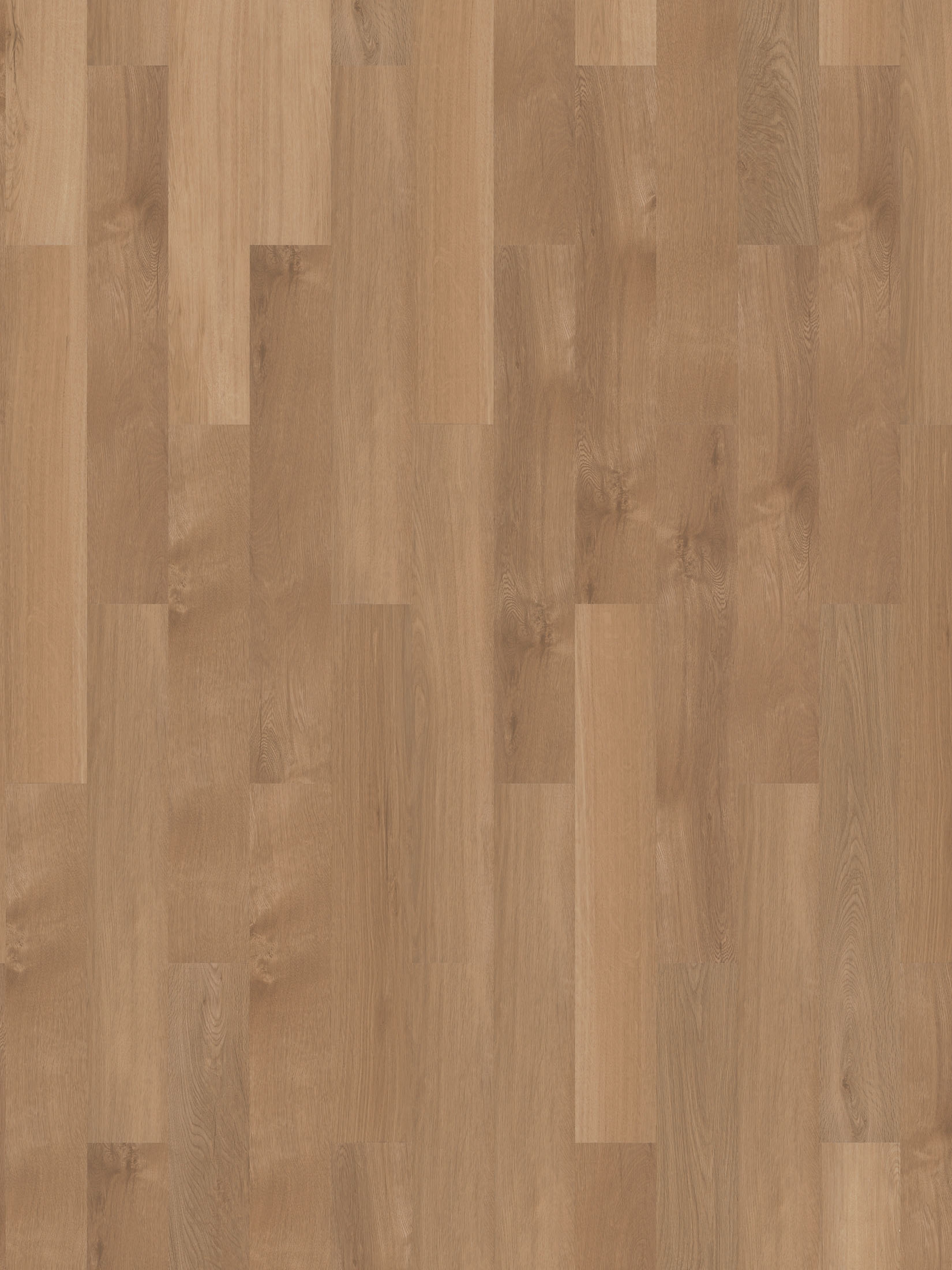 Levanger XL Vinylboden, Sunny Oak Coll23442