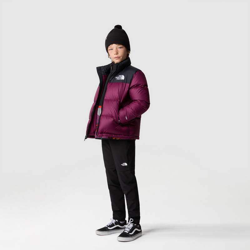 The North Face Mountain Essentials Zipphose Jungen