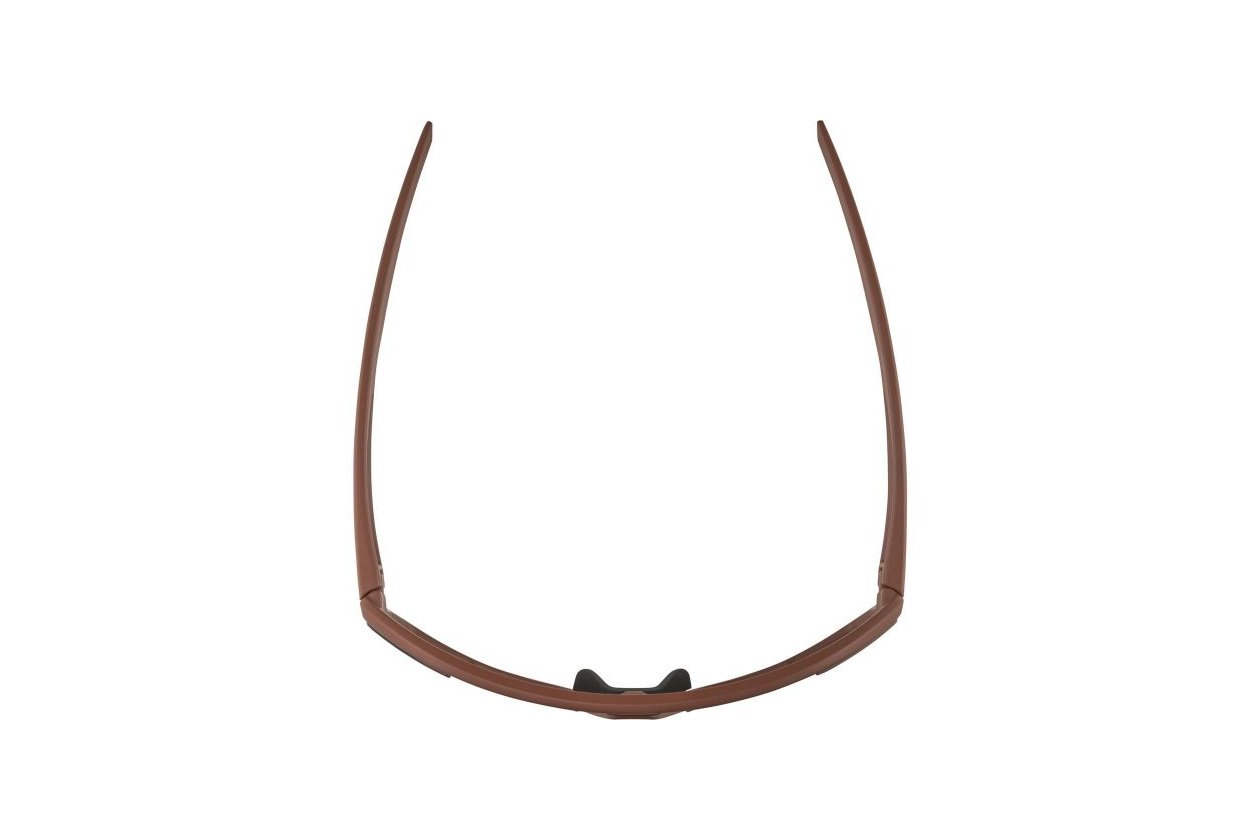 Alpina Bonfire Q-Lite brick matt / bronce mirror lens