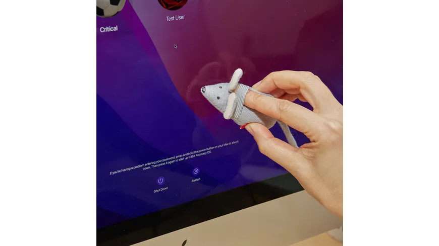 Kikkerland Mouse-Cleaner grau