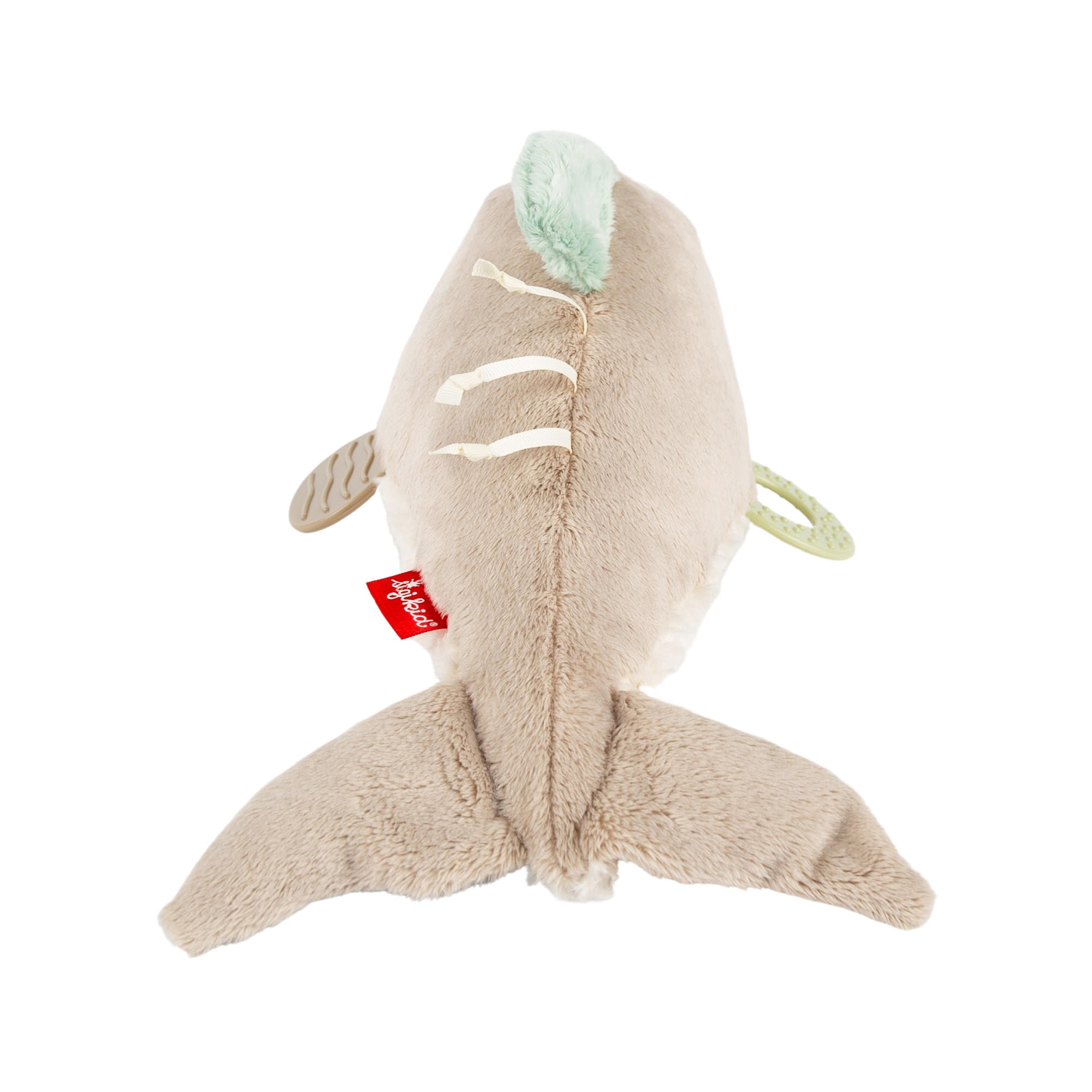 Baby Aktiv Delfin