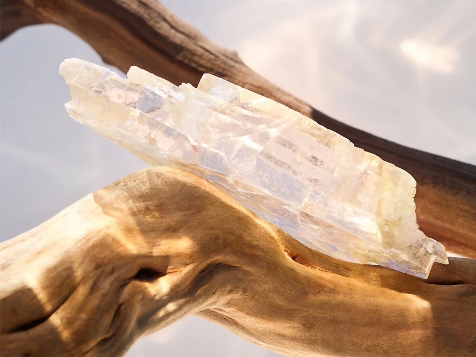Omnia Collection Crystalline - Eau de Parfum