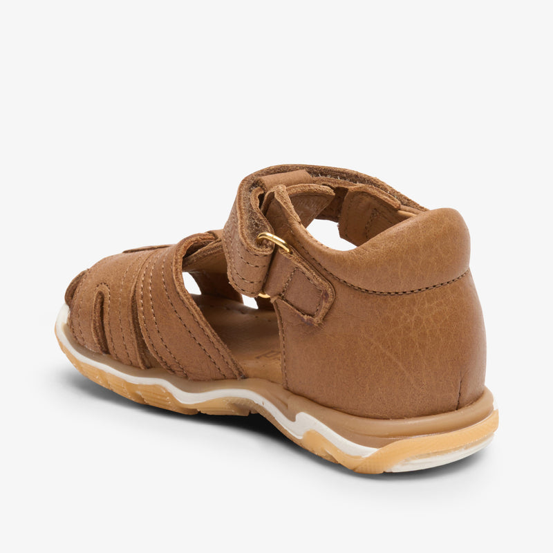 anni cognac - Braun