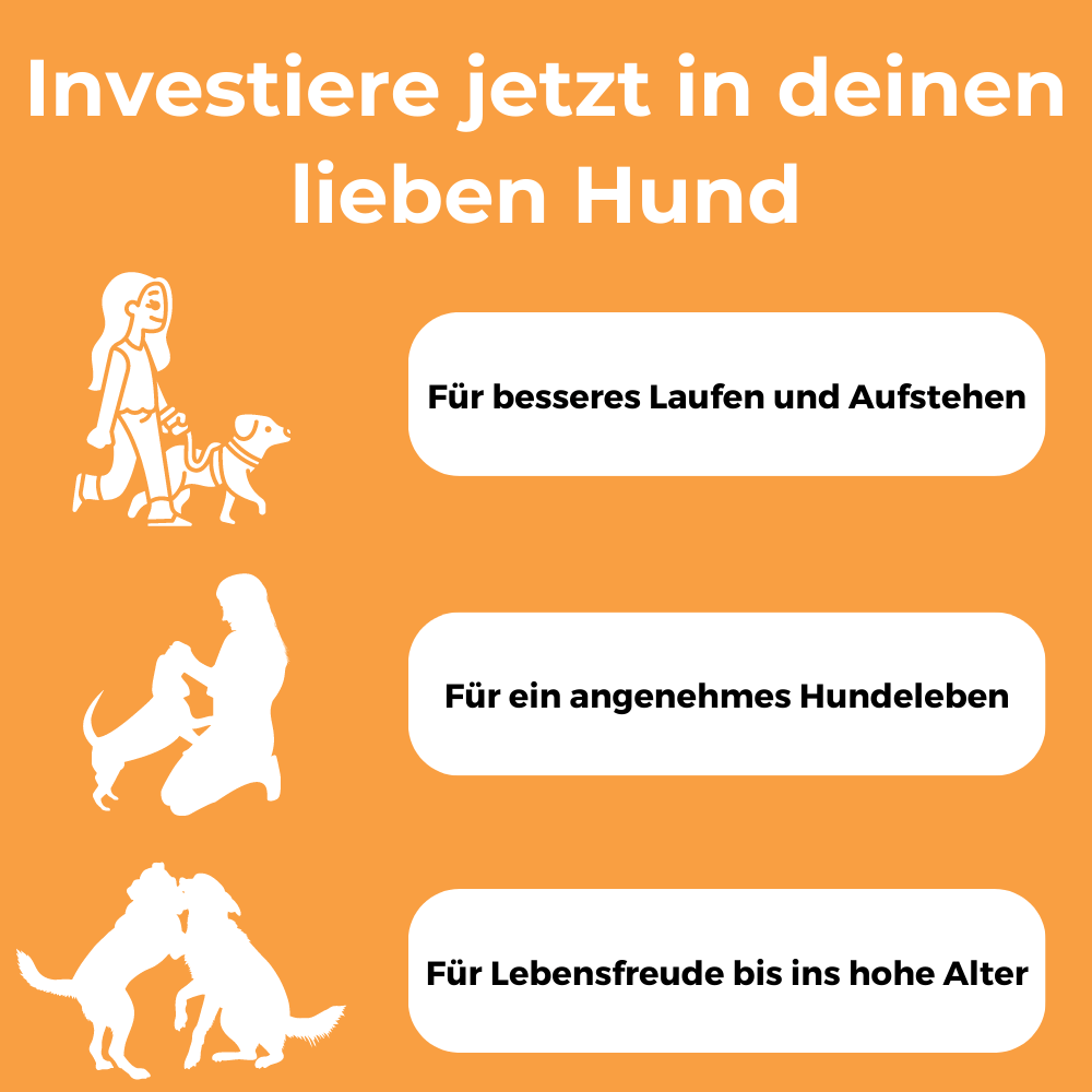 Dog-Native Ergänzungsfutter & Aufzucht Dog-Native Teufelskralle Pulver für Hunde, aus Namibia (1,3% Harpagosid), 500g