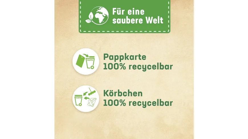 WC FRISCH Kraft-Aktiv Frische Brise