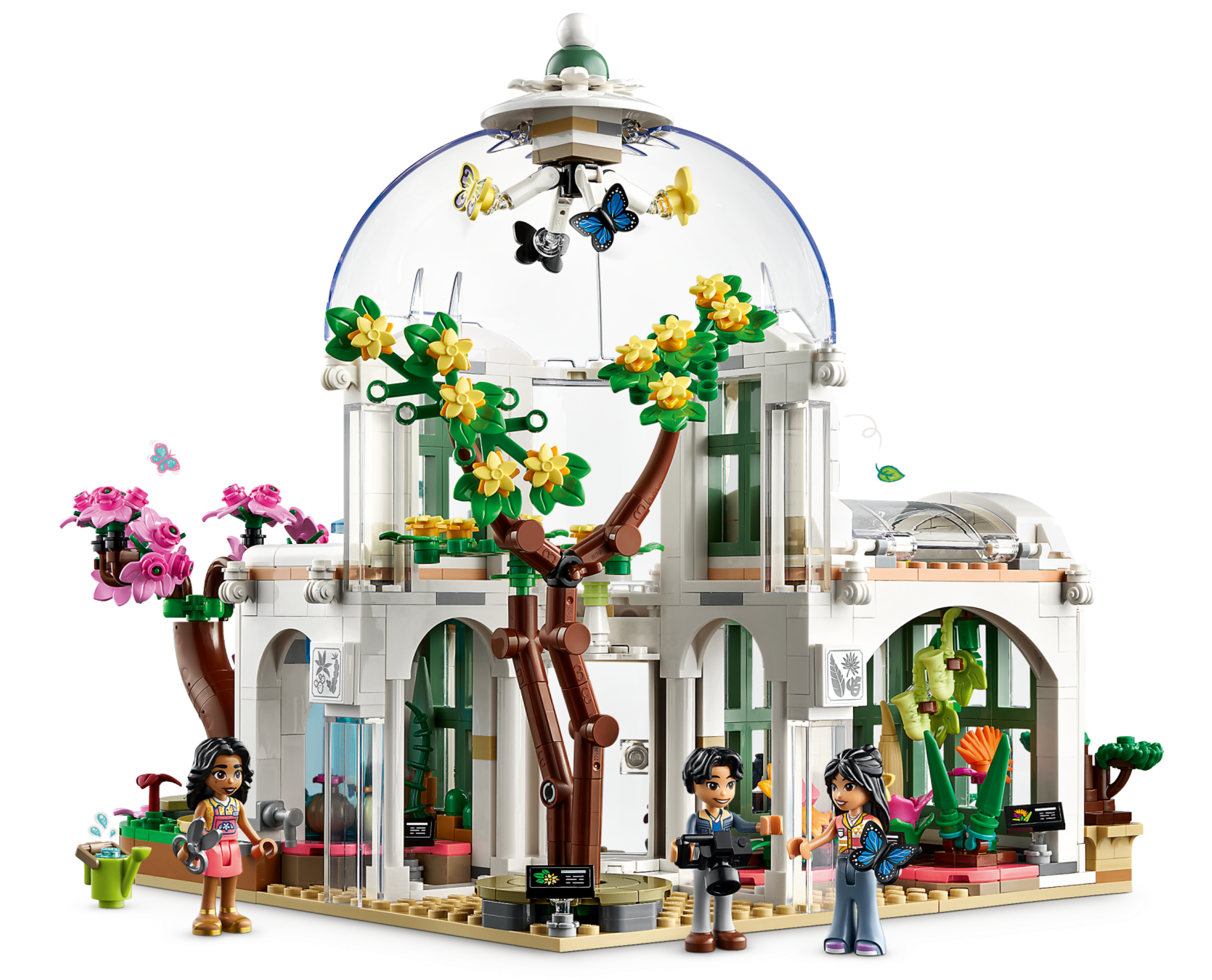 Botanischer Garten 41757