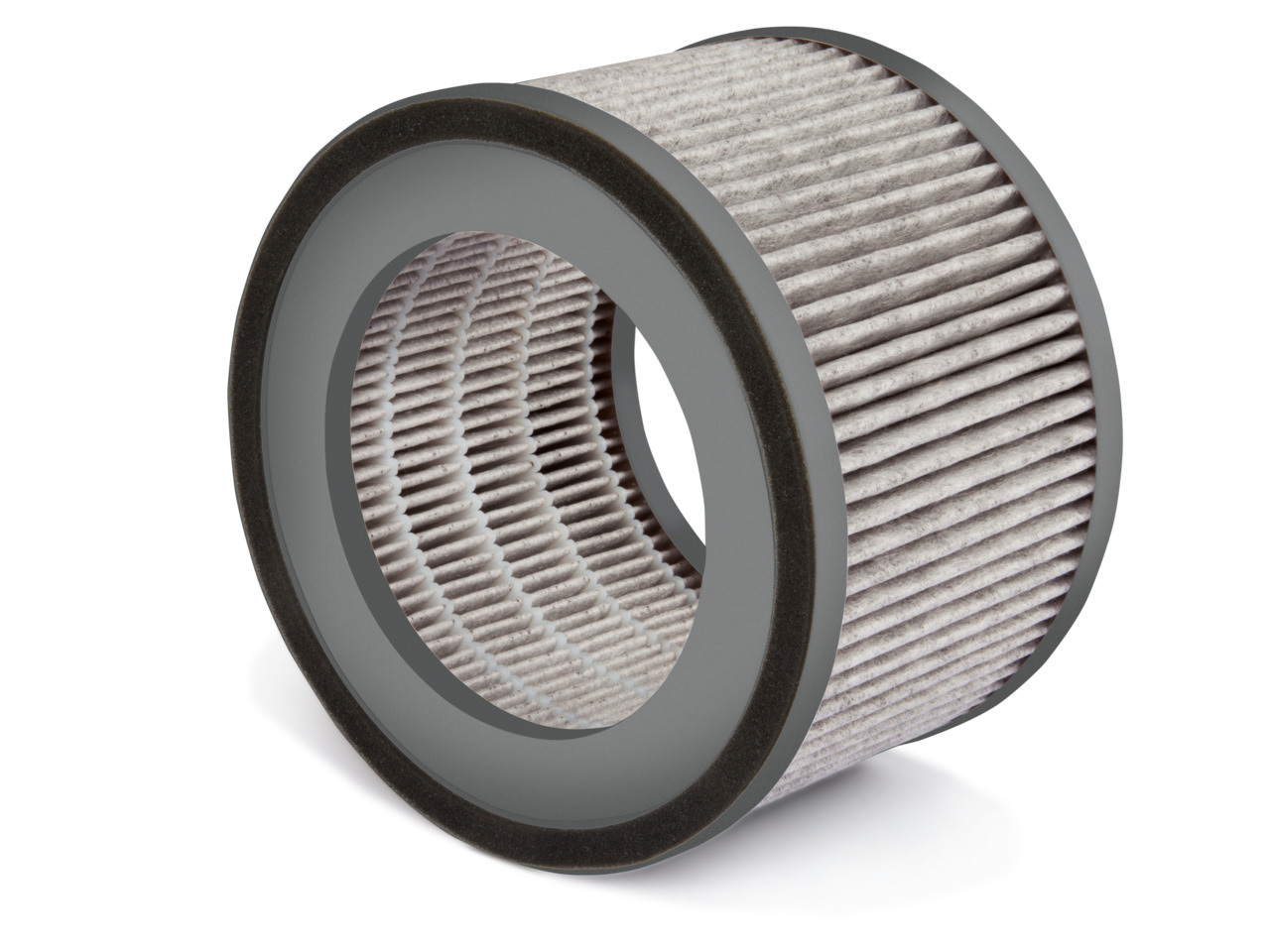 Leifheit Ersatzfilter Airfresh Clean 300