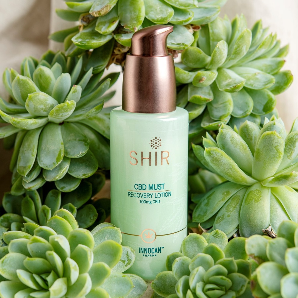 takecare Lotion apaisante concentrée en CBD Lotion après soleil CBD