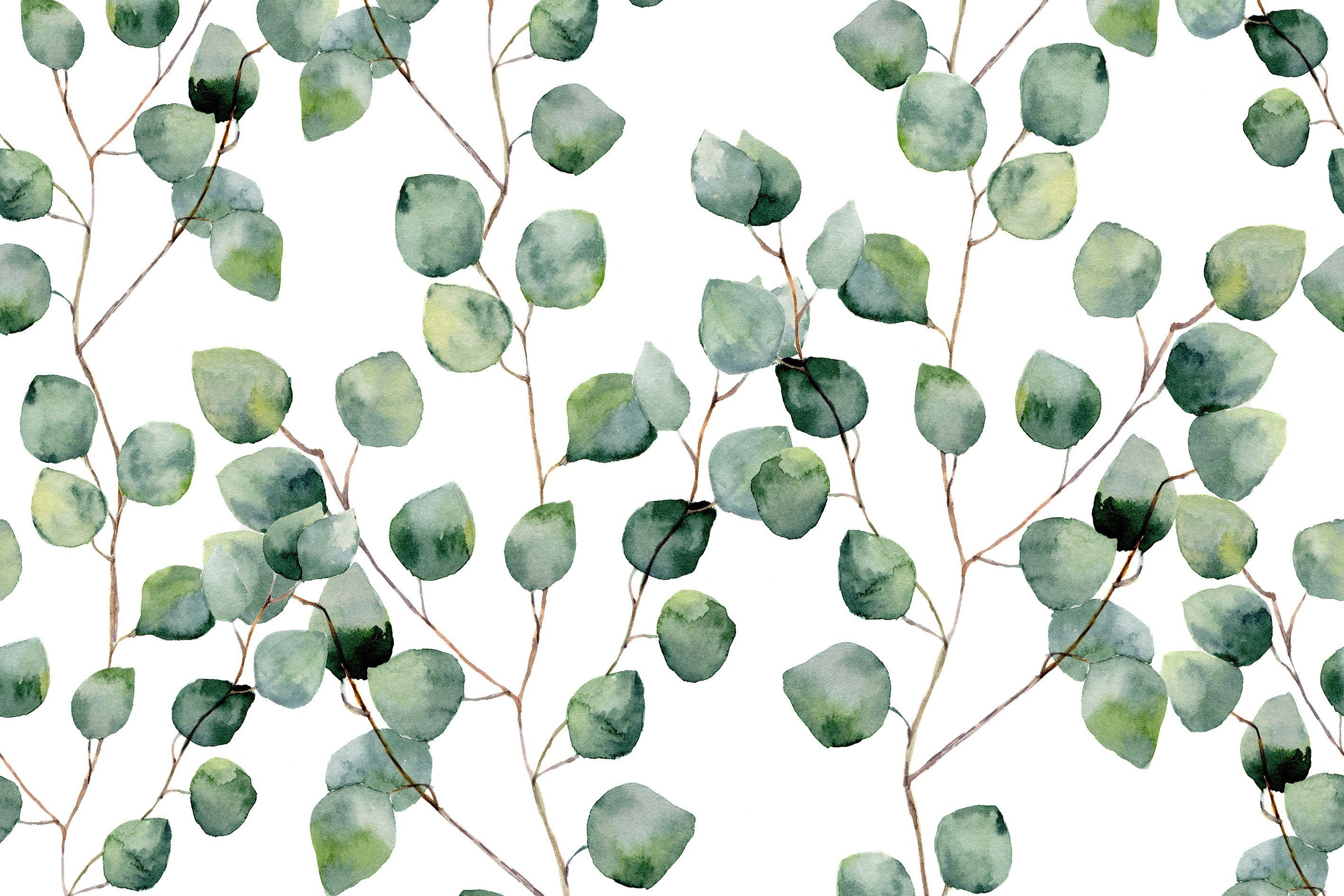 queence Küchenrückwand Eukalyptus - Spritzschutz Wandschutz für Herd & Spüle - Alu-Dibond, (1-tlg), 60x40x0,3 cm - Hitzebeständig - Herdspritzschutz - Aquarell - Blätter