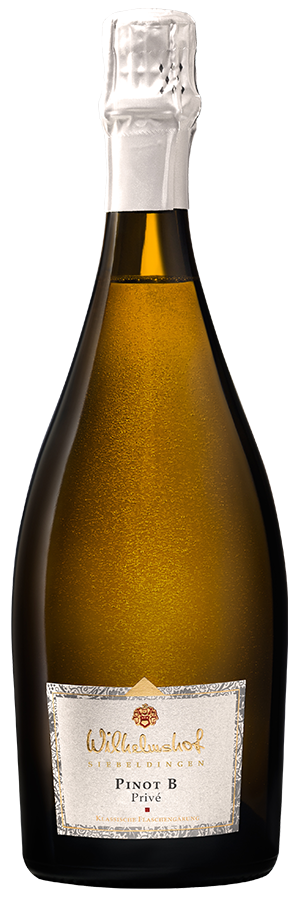 Pinot B Brut Sekt 2017