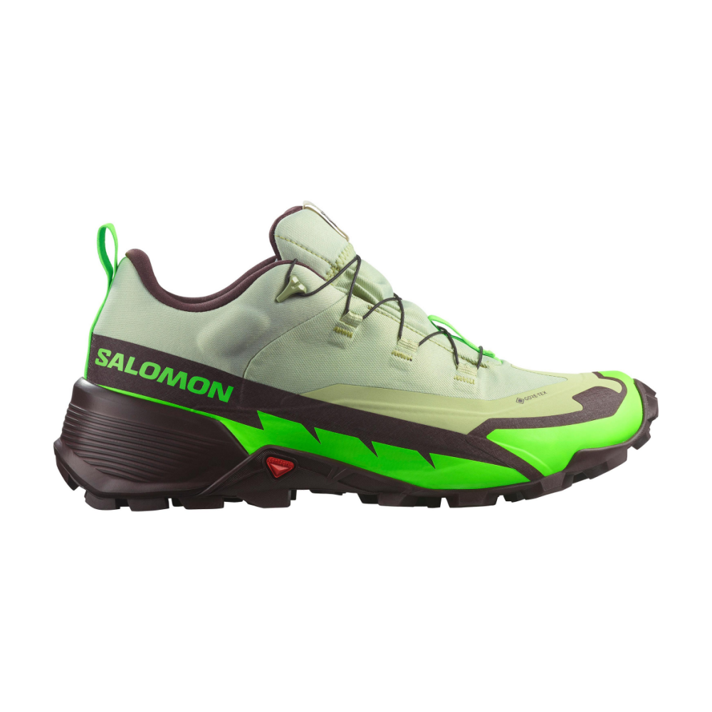 Salomon CROSS HIKE 2 GORE TEX L47277600 / bunt