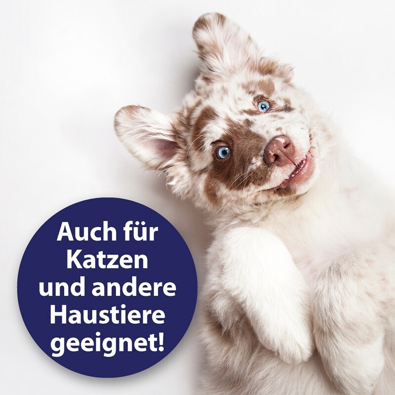 Canosept Fellpflege Canosept Hautpflege Spray für Hunde 250 ml