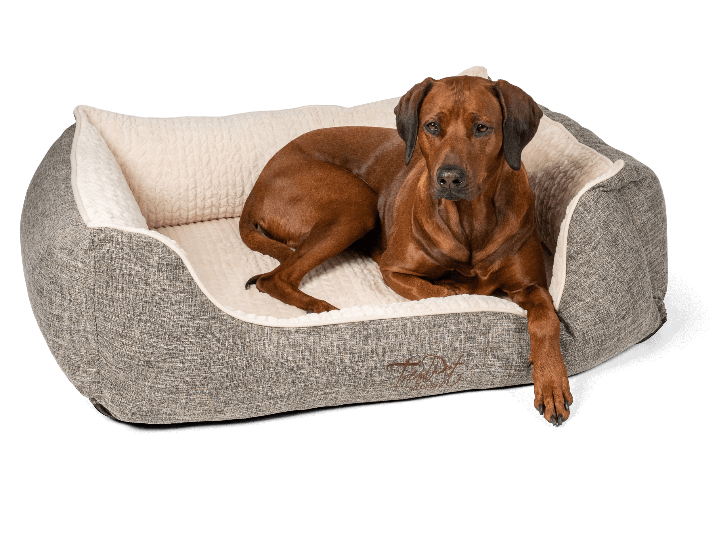 TrendPet Hundebetten TrendPet VitaBed Classic orthopädisches Hundebett beige S